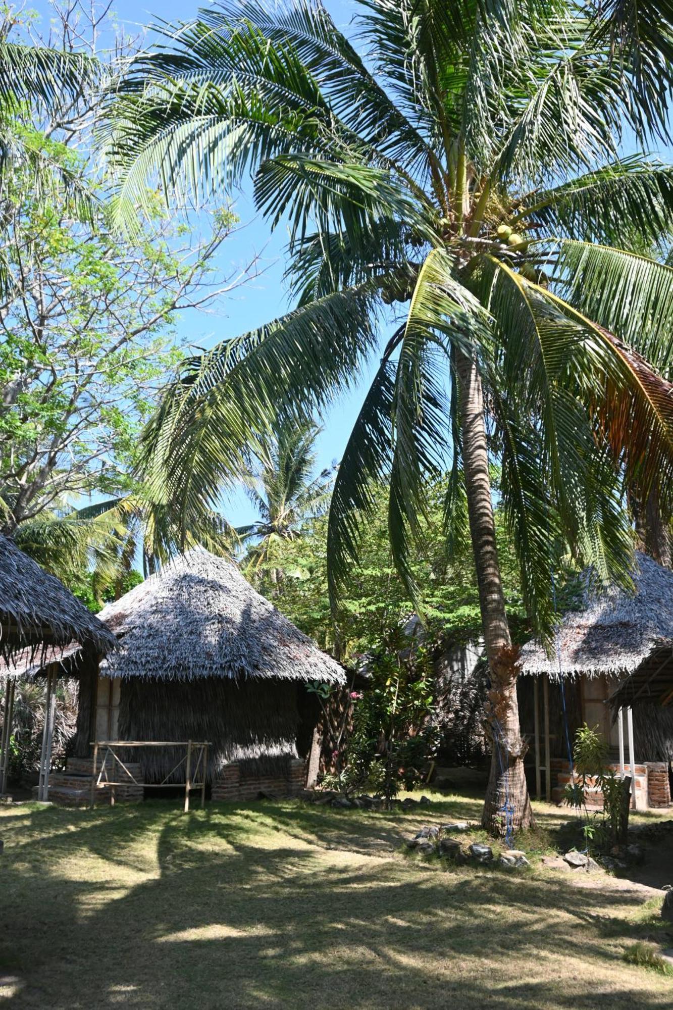 Villa Bunga Jabe Karimunjawa Exterior foto